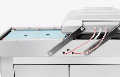 VALA - DZQ500/2SB Floor Standing Double Chamber Vacuum Sealer