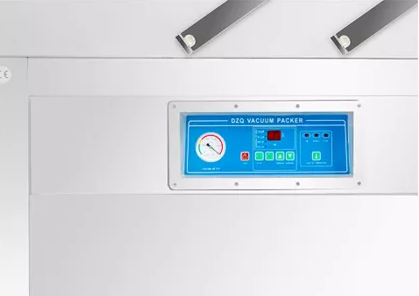 VALA - DZQ500/2SB Floor Standing Double Chamber Vacuum Sealer